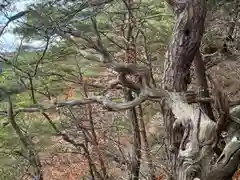 龍興山神社(青森県)