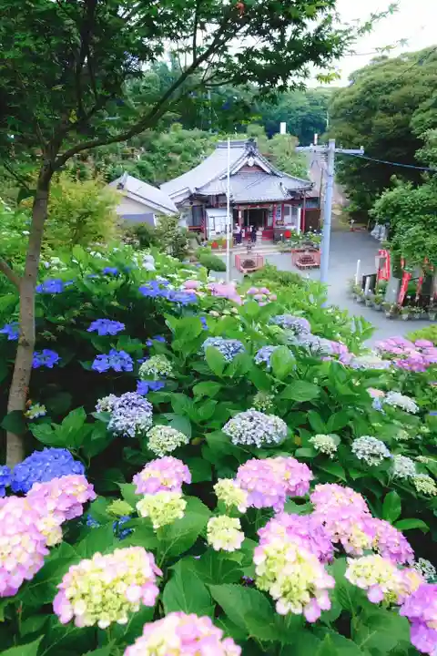 三ヶ根観音(太山寺)(愛知県)