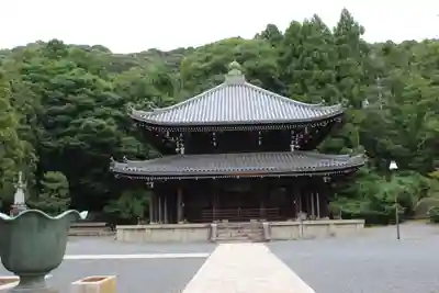 知恩院の本殿・本堂