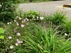 鷺宮八幡神社の自然