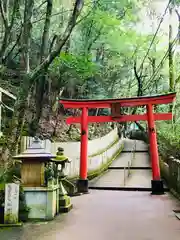 大本山七宝瀧寺の鳥居