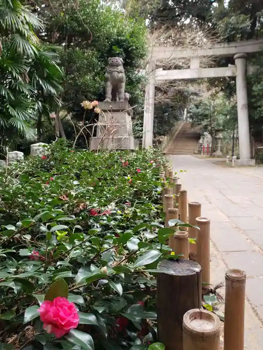 赤坂氷川神社(東京都)