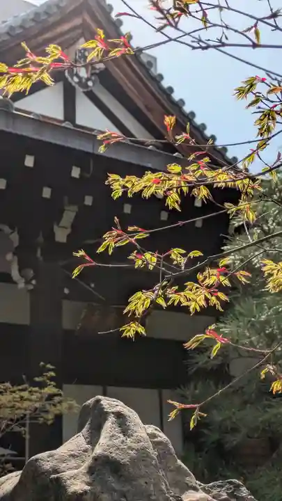 宝蔵寺(京都府)
