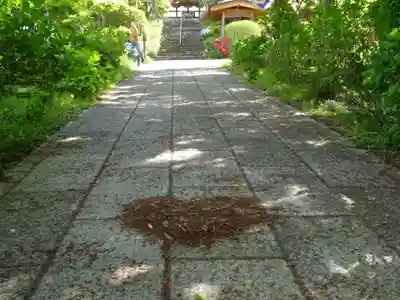 陽林寺の芸術