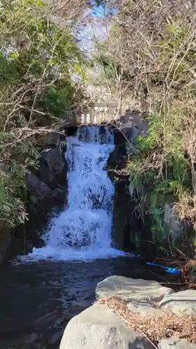 富士山東口本宮 冨士浅間神社の自然