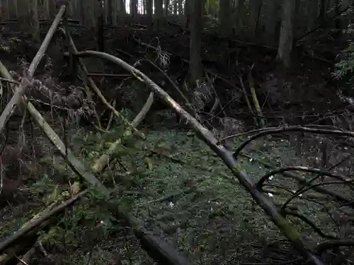 龜山神社の周辺