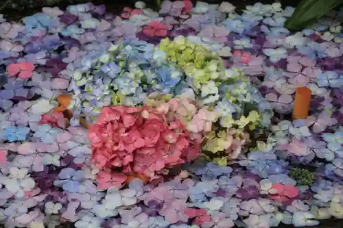 開成山大神宮の手水舎