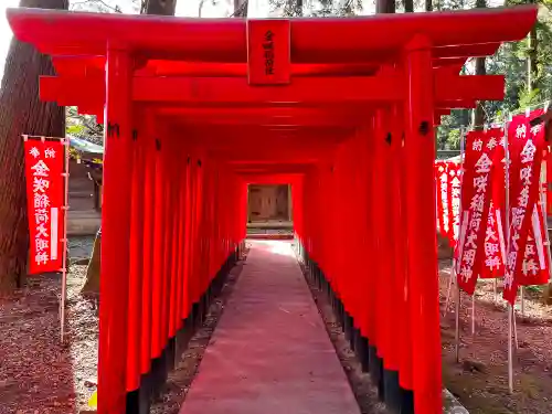 多賀大社の鳥居