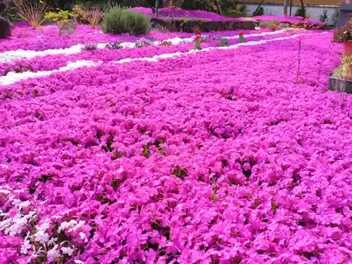 寿量山　速成寺(奈良県)