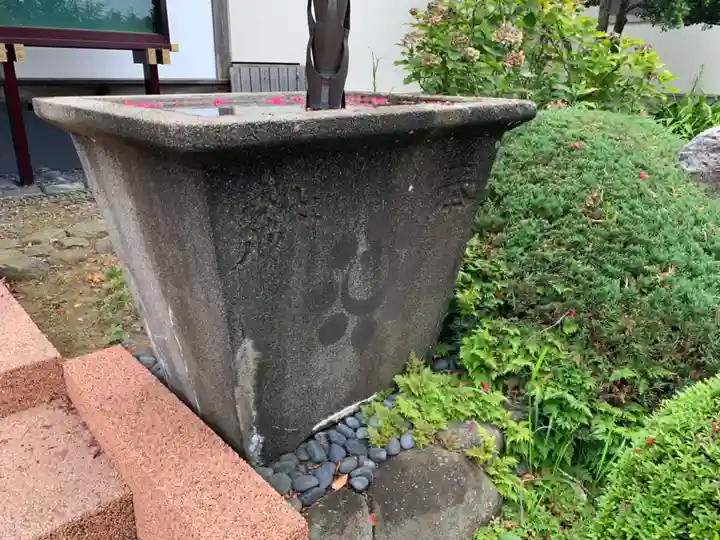 海隣寺の手水舎