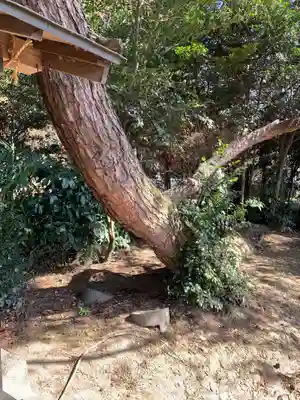 篠塚稲荷神社の自然