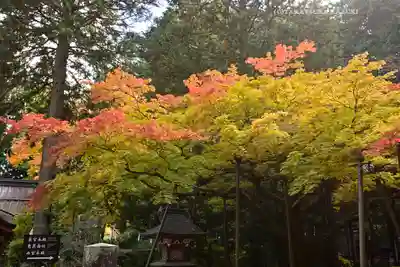 北口本宮冨士浅間神社(山梨県)