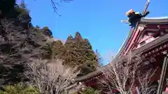 大山阿夫利神社の本殿