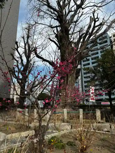 磐井神社の{uncategorized: "未分類", other: "その他", undefined: "問題あり", building: "その他建物", grave: "お墓", sacred_gate: "鳥居", guardian: "狛犬", statue: "像", buddha: "仏像", history: "歴史", nature: "自然", garden: "庭園", animal: "動物", pagoda: "塔", temizu: "手水舎", mountain_gate: "山門・神門", sanctuary: "本殿・本堂", subordinate: "末社・摂社", art: "芸術", scenery: "景色", jizo: "地蔵", ema: "絵馬", goshuin: "御朱印", omikuji: "おみくじ", items: "授与品その他", amulet: "お守り", goshuincho: "御朱印帳", eats: "食事", festival: "お祭り", votive_dance: "神楽", shichigosan: "七五三参", wedding: "結婚式", experience: "体験その他", initially: "初詣", around: "周辺", anti_infection: "感染症対策"}