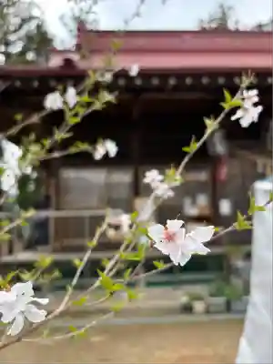 岡部春日神社～👹鬼門よけの🌺花咲く🌺やしろ～(福島県)