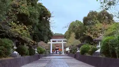 富士山本宮浅間大社(静岡県)