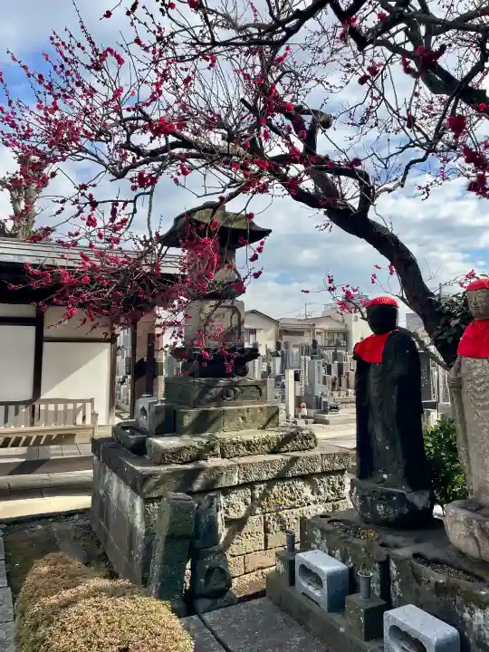 城官寺の{uncategorized: "未分類", other: "その他", undefined: "問題あり", building: "その他建物", grave: "お墓", sacred_gate: "鳥居", guardian: "狛犬", statue: "像", buddha: "仏像", history: "歴史", nature: "自然", garden: "庭園", animal: "動物", pagoda: "塔", temizu: "手水舎", mountain_gate: "山門・神門", sanctuary: "本殿・本堂", subordinate: "末社・摂社", art: "芸術", scenery: "景色", jizo: "地蔵", ema: "絵馬", goshuin: "御朱印", omikuji: "おみくじ", items: "授与品その他", amulet: "お守り", goshuincho: "御朱印帳", eats: "食事", festival: "お祭り", votive_dance: "神楽", shichigosan: "七五三参", wedding: "結婚式", experience: "体験その他", initially: "初詣", around: "周辺", anti_infection: "感染症対策"}