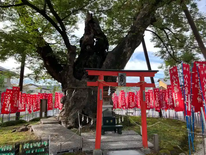 秩父今宮神社(埼玉県)