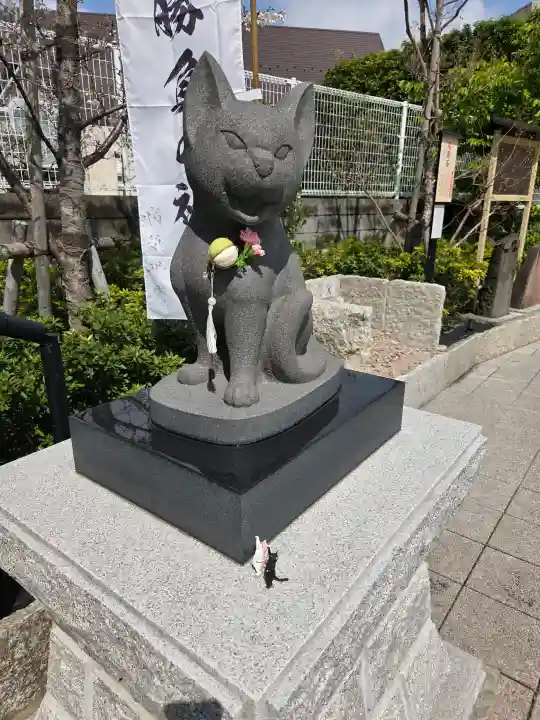 駒込妙義神社の{uncategorized: "未分類", other: "その他", undefined: "問題あり", building: "その他建物", grave: "お墓", sacred_gate: "鳥居", guardian: "狛犬", statue: "像", buddha: "仏像", history: "歴史", nature: "自然", garden: "庭園", animal: "動物", pagoda: "塔", temizu: "手水舎", mountain_gate: "山門・神門", sanctuary: "本殿・本堂", subordinate: "末社・摂社", art: "芸術", scenery: "景色", jizo: "地蔵", ema: "絵馬", goshuin: "御朱印", omikuji: "おみくじ", items: "授与品その他", amulet: "お守り", goshuincho: "御朱印帳", eats: "食事", festival: "お祭り", votive_dance: "神楽", shichigosan: "七五三参", wedding: "結婚式", experience: "体験その他", initially: "初詣", around: "周辺", anti_infection: "感染症対策"}