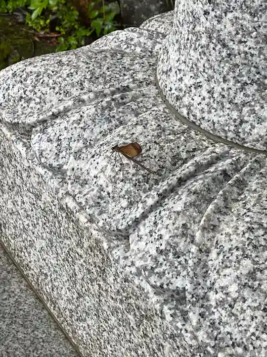 高野山金剛峯寺奥の院の動物