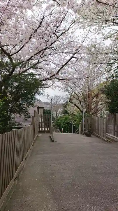 中村八幡宮の自然