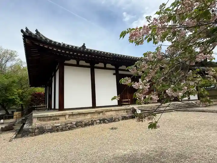 新薬師寺の{uncategorized: "未分類", other: "その他", undefined: "問題あり", building: "その他建物", grave: "お墓", sacred_gate: "鳥居", guardian: "狛犬", statue: "像", buddha: "仏像", history: "歴史", nature: "自然", garden: "庭園", animal: "動物", pagoda: "塔", temizu: "手水舎", mountain_gate: "山門・神門", sanctuary: "本殿・本堂", subordinate: "末社・摂社", art: "芸術", scenery: "景色", jizo: "地蔵", ema: "絵馬", goshuin: "御朱印", omikuji: "おみくじ", items: "授与品その他", amulet: "お守り", goshuincho: "御朱印帳", eats: "食事", festival: "お祭り", votive_dance: "神楽", shichigosan: "七五三参", wedding: "結婚式", experience: "体験その他", initially: "初詣", around: "周辺", anti_infection: "感染症対策"}