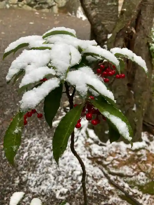 伊太祁曽神社の{uncategorized: "未分類", other: "その他", undefined: "問題あり", building: "その他建物", grave: "お墓", sacred_gate: "鳥居", guardian: "狛犬", statue: "像", buddha: "仏像", history: "歴史", nature: "自然", garden: "庭園", animal: "動物", pagoda: "塔", temizu: "手水舎", mountain_gate: "山門・神門", sanctuary: "本殿・本堂", subordinate: "末社・摂社", art: "芸術", scenery: "景色", jizo: "地蔵", ema: "絵馬", goshuin: "御朱印", omikuji: "おみくじ", items: "授与品その他", amulet: "お守り", goshuincho: "御朱印帳", eats: "食事", festival: "お祭り", votive_dance: "神楽", shichigosan: "七五三参", wedding: "結婚式", experience: "体験その他", initially: "初詣", around: "周辺", anti_infection: "感染症対策"}