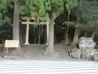 飛瀧神社(熊野那智大社別宮)の鳥居