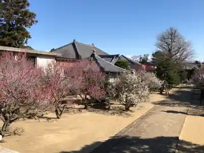 浄国寺のその他建物