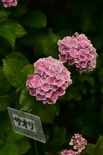 円照寺(兵庫県)