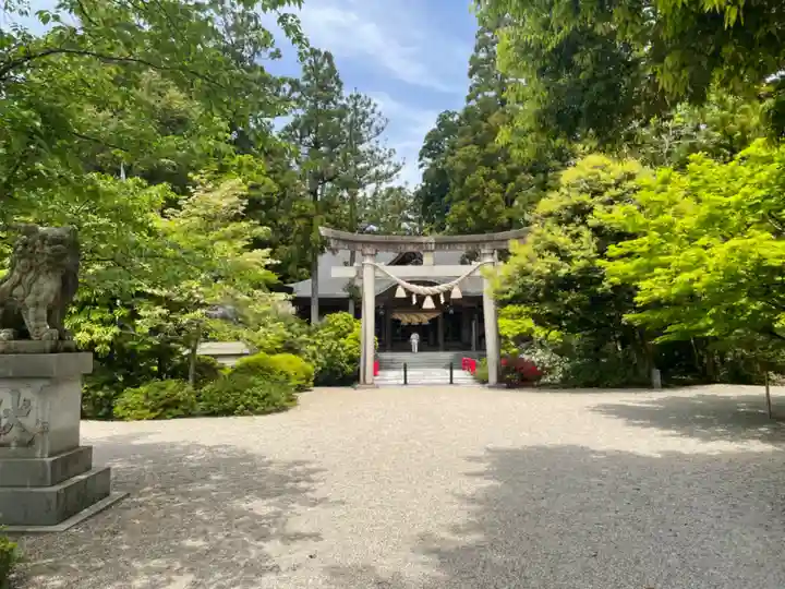 越中一宮 髙瀬神社(富山県)