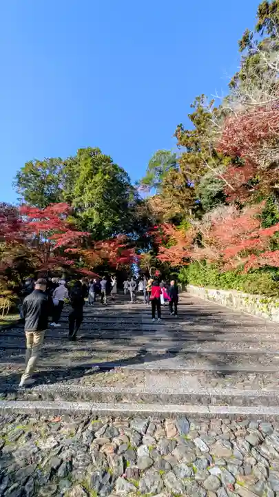 光明寺(粟生光明寺)(京都府)