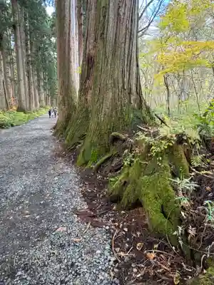 戸隠神社奥社(長野県)