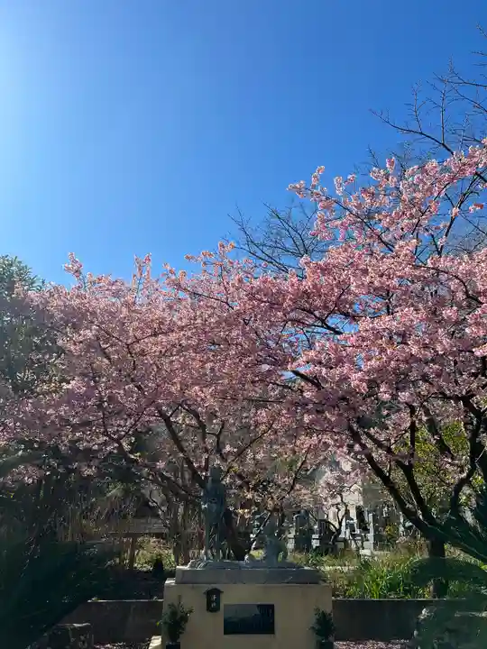 かっぱの寺 栖足寺(静岡県)