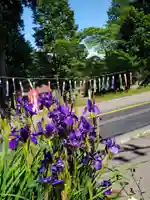 高司神社〜むすびの神の鎮まる社〜(福島県)