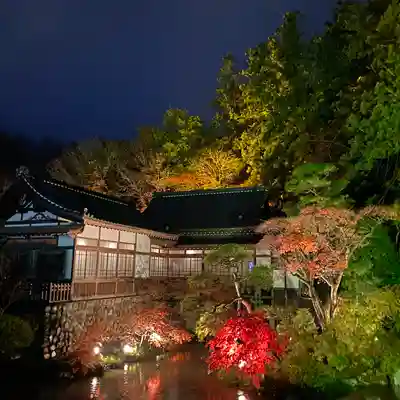 宝登山神社(埼玉県)