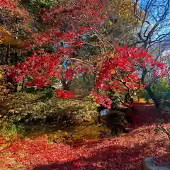 古峯神社の自然