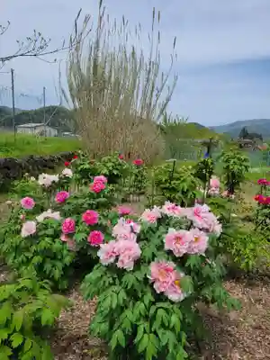 隆国寺(兵庫県)