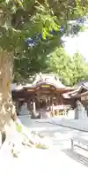 素鵞神社のその他建物