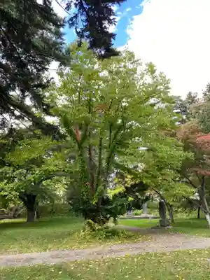 青森縣護國神社のその他建物