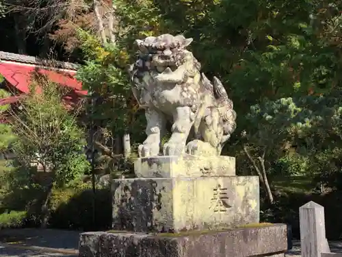 出雲大神宮の狛犬