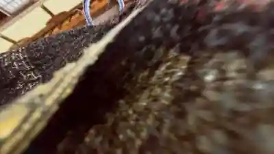 常楽院(福島県)