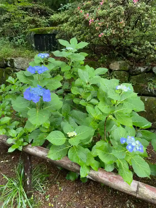 久安寺(大阪府)