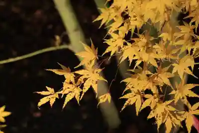 正寿院(京都府)