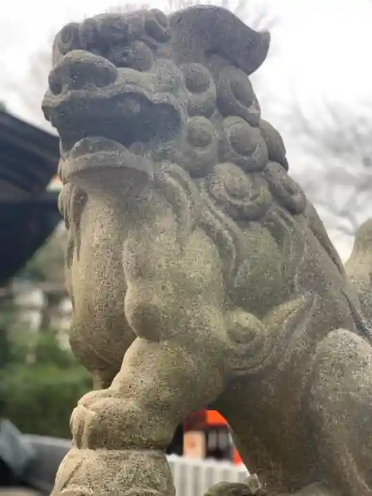 星川杉山神社の狛犬