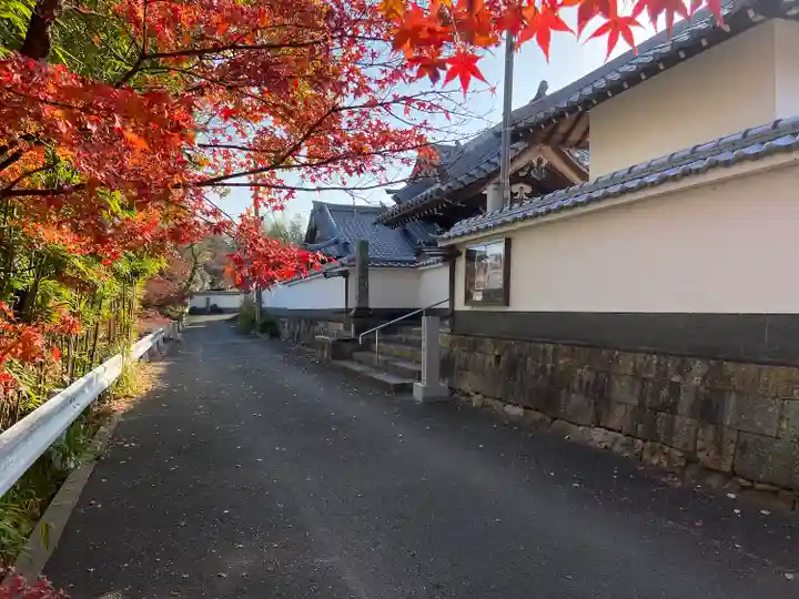 長円寺(京都府)
