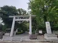 阿佐ヶ谷神明宮の鳥居