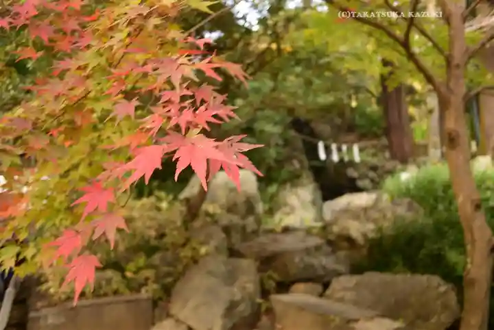 高尾山薬王院(東京都)