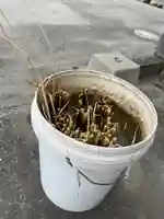 大鏑神社(福島県)