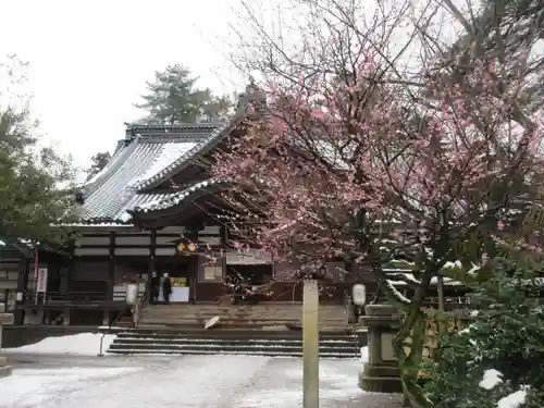 尾山神社の本殿